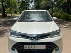 Toyota Axio G Grade 2015