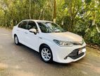 Toyota Axio G Grade 2015