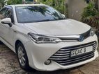 Toyota Axio G Grade 2015