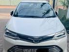 Toyota Axio G Grade 2015