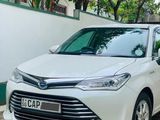 Toyota Axio G Grade 2015