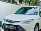 Toyota Axio G grade 2015