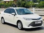 Toyota Axio G Grade 2015