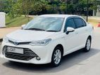 Toyota Axio G Grade 2015