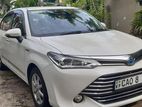 Toyota Axio G Grade 2015