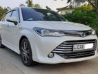 Toyota Axio G Grade 2015