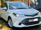 Toyota Axio G Grade 2015