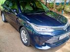 Toyota Axio G Grade 2015