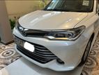 Toyota Axio G Grade 2016