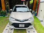 Toyota Axio G Grade 2016