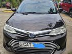 Toyota Axio G Grade 2016