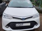 Toyota Axio G Grade 2016