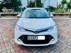 Toyota Axio G Grade 2016