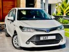 Toyota Axio G Grade 2017