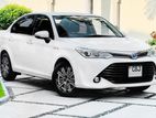 Toyota Axio G GRADE 2020 REG 2017