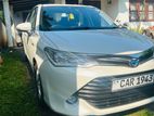Toyota Axio G grade For Rent (Hybrid)