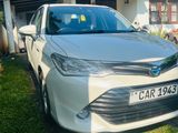 Toyota Axio G grade For Rent (Hybrid)