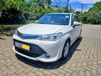 Toyota Axio G Grade (New Face) 2015
