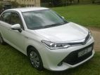 Toyota Axio Hybrid Car for Rent