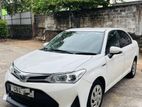 Toyota Axio Hybrid Car for Rent