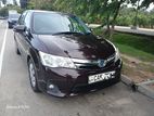 Toyota Axio (Hybrid) For Rent