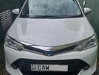 Toyota Axio Hybrid for Rent