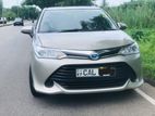 Toyota Axio-Hybrid For rent