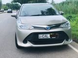 Toyota Axio-Hybrid For rent
