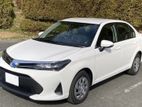 Toyota Axio Hybrid G Grade 2024