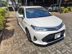 Toyota Axio Hybrid G WxB 2019