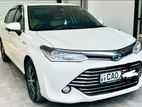 Toyota Axio Hybrid Rent