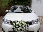 Toyota Axio Hybrid Wedding Car for Hires