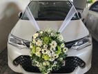 Toyota Axio Hybrid Wxb Car for Rent