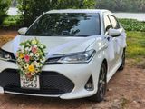 Toyota Axio Hybrid Wxb Car for Wedding Hire