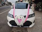 Toyota Axio Hybrid WXB Car Wedding Hire