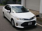 Toyota Axio NonHybrid/LowMileage 2017