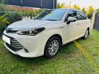 Toyota Axio -Rent