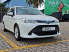 Toyota Axio S Grade 2015
