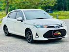 Toyota Axio Vehicle for Rent