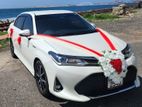 Toyota Axio Wedding Car for Rent And Hire