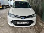 Toyota Axio WXB 2016