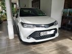 Toyota Axio WXB 2016