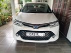 Toyota Axio WXB 2016