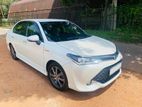 Toyota Axio WXB 2017