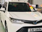 Toyota Axio WXB 2017