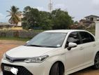 Toyota Axio WXB 2017