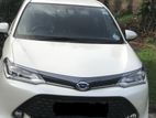 Toyota Axio WXB 2017