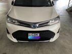 Toyota Axio WXB 2018