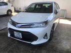 Toyota Axio WXB 2018