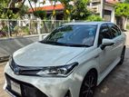 Toyota Axio WXB 2018